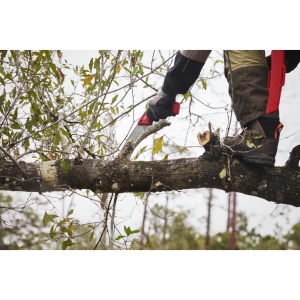 Fierastrau curbat Milwaukee pentru taiat crengi - Img 5