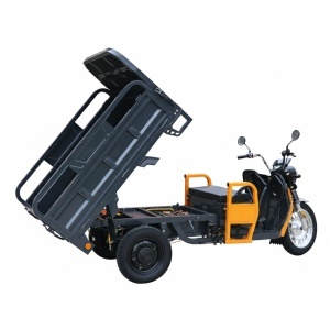 Triciclu Electric Cargo Progarden TRIVO 3000, 25km/h, 72V, 58Ah, incarcator inclus - Img 4