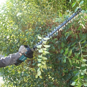 Foarfeca de tuns gardul viu XGT 40V, 75 cm, fara acumulator - Img 2