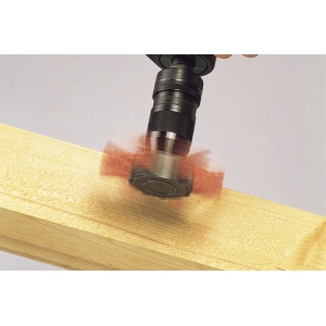 Perie Wolfcraft 1512000, tip evantai, D 100 mm, nylon rosu, tija hexagonala 1/4" - Img 2