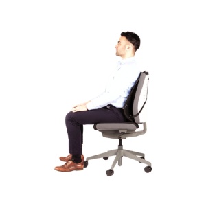 Suport ergonomic pentru spate Professional mesh Fellowes - Img 4