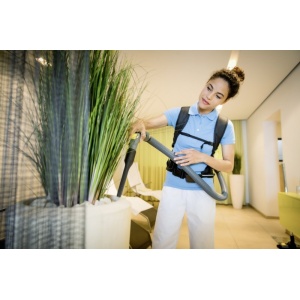 Aspirator uscat tip rucsac cu sac de aspirare, BVL 5/1 Bp - Img 14
