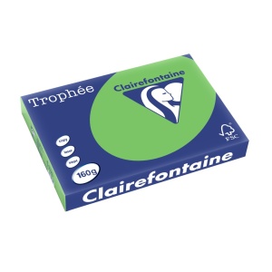 Carton A3 160 g/mp color intens 250/top Clairefontaine - Img 11