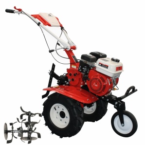 Motocultor BISONTE Agro Garden BTA-900FC latime lucru 560–830mm adancime 300mm motor 7cp (FC) - Img 1