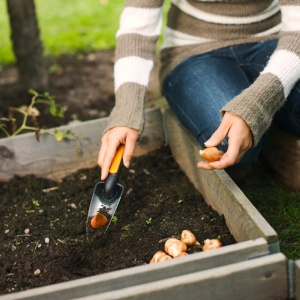 Plantator ingust Fiskars Premium Planters™ 275x70mm, 100g - Img 2