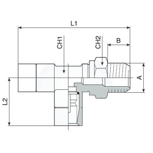 Racord automat push-in dublu Fiac tip T cu filet 1/8", pentru furtun de 6mm - Img 3