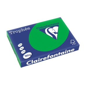 Carton A3 160 g/mp color intens 250/top Clairefontaine - Img 12