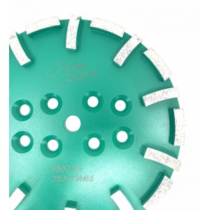 Disc cu segmenti diamantati pt. slefuire pardoseli - segment dur - Verde - 250 mm - prindere 19mm - DXDY.8500.250.23 - Img 3