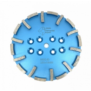 Disc cu segmenti diamantati pt. slefuire pardoseli - segment fin - Albastru - 250 mm - prindere 19mm - DXDY.8500.250.63 - Img 1