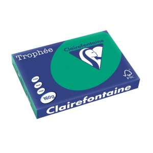 Carton A3 160 g/mp color intens 250/top Clairefontaine - Img 13