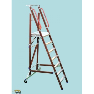 Scara RARIS, electroizolanta, fibra sticla, platforma mare, trepte late, tip SPMFE - Img 1