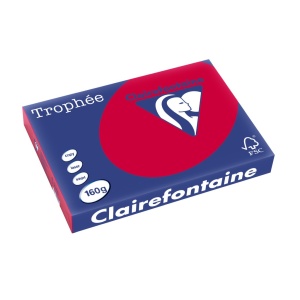 Carton A3 160 g/mp color intens 250/top Clairefontaine - Img 5