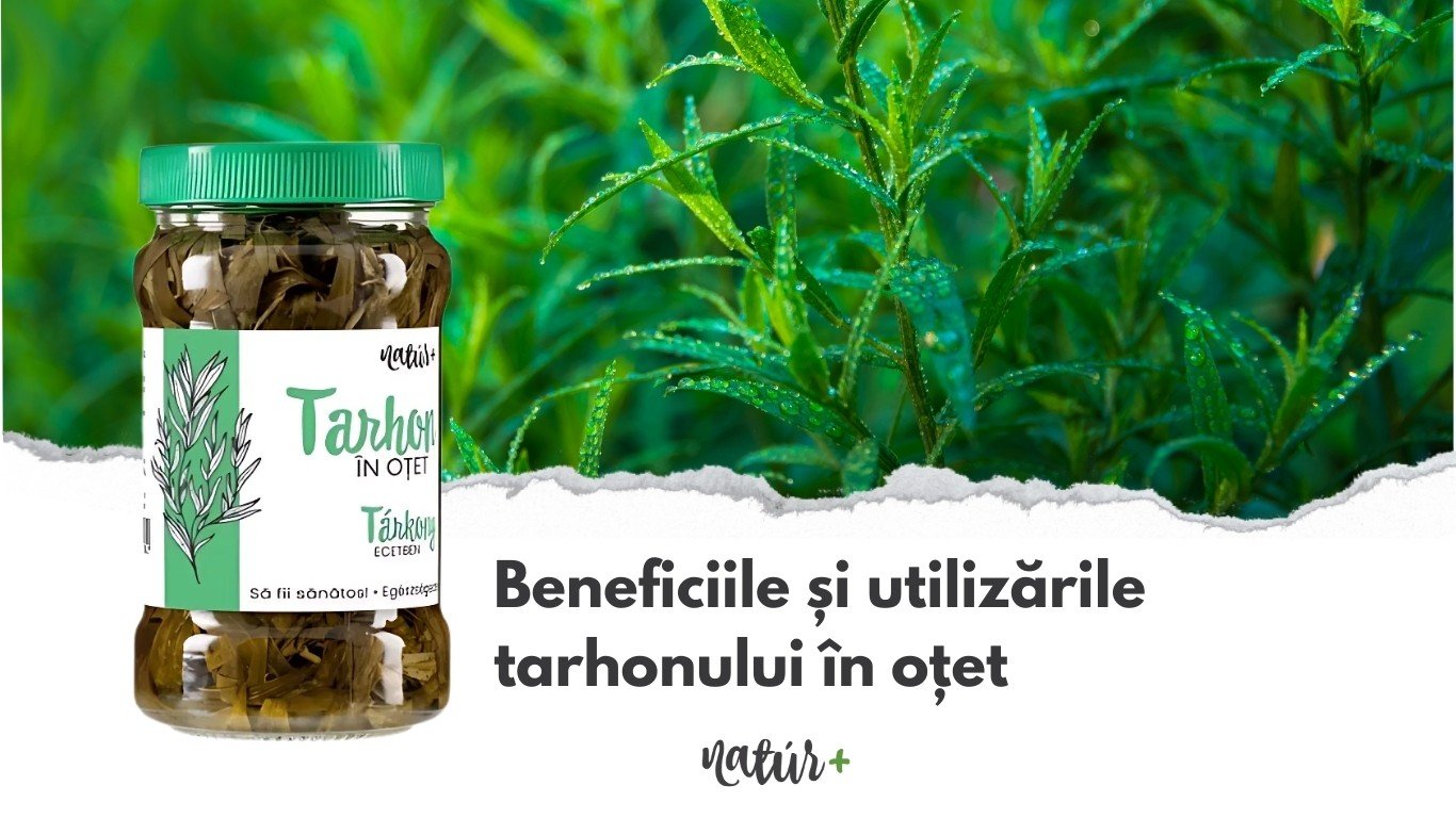 Beneficiile și utilizările tarhonului în oțet