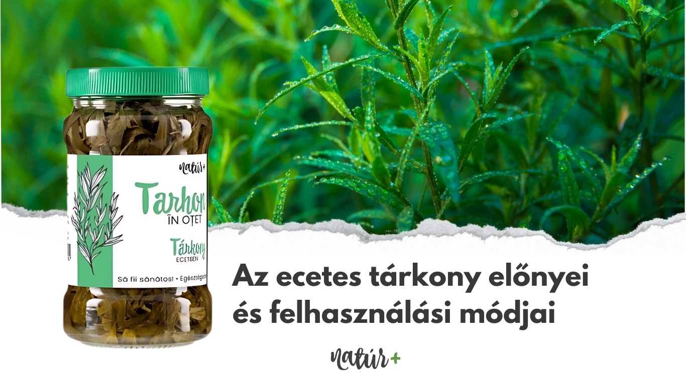 Az ecetes tárkony előnyei és felhasználási módjai