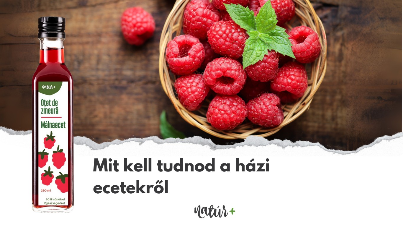 Mit kell tudnod a házi ecetekről?