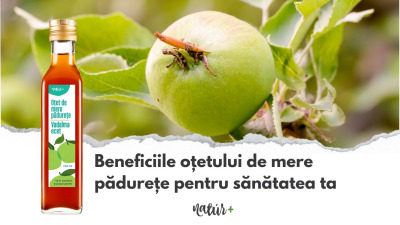 Beneficiile oțetului de mere pădurețe pentru sănătatea ta