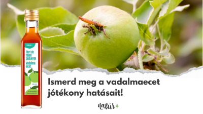 Ismerd meg a vadalmaecet jótékony hatásait!