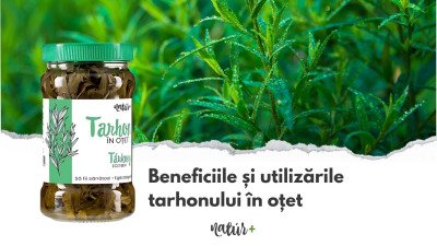 Beneficiile și utilizările tarhonului în oțet