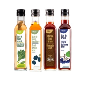 Set Natur+ Gourmet – Oțet de Bere Brună, Aronia, Mure de Pădure și Mere cu Leurdă (4 x 250 ml)