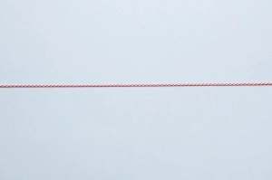 Cord I.7947- 8 mm