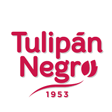 Tulipan Negro 1953