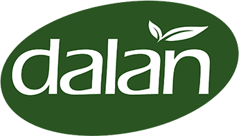 Dalan