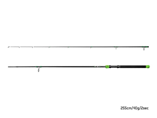 Lanseta Delphin GreenCode 2.55m, 40g., 2 buc.
