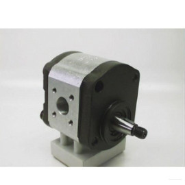 Pompa hidraulica cu roti dintate Deutz 01262643