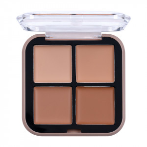 Trusa Corector, Anticearcan, Concealer Ushas Skin Correct #02
