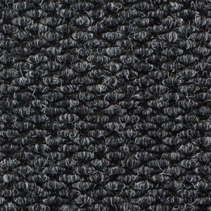 Master Trax boja ćumura