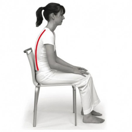 SISSEL® Sit standard- perna de sezut - Img 5
