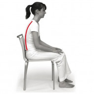 SISSEL® Sit standard- perna de sezut