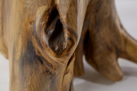 Massieve bijzettafel ROOT 40cm teak met jaarringen - Img 7