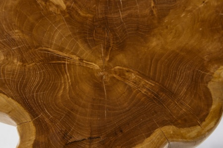 Massieve bijzettafel ROOT 40cm teak met jaarringen - Img 8