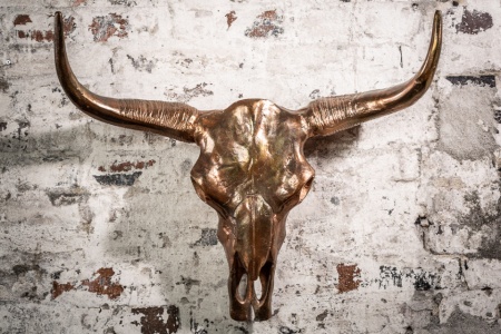 Design schedel MATADOR 70cm koper gevlamd aluminium wanddecoratie - Img 3