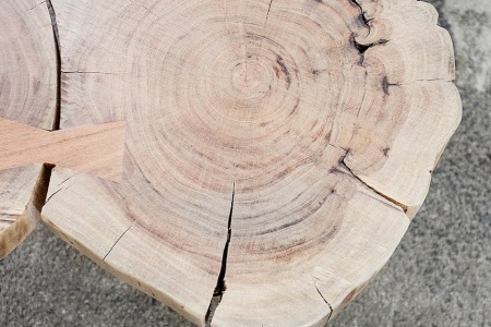 Design salontafel GOA 110cm acacia boomstam plakjes 4 cm tafelblad - Img 7