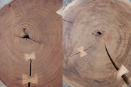 Solide salontafel GOA 60cm acacia boomstam met unieke wielen