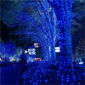 Instalatie liniara de exterior, tip banda cu led turnat, 50 metri, 400 led, jocuri de lumini, Albastru