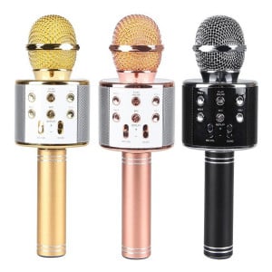 Microfon karaoke cu Boxa incorporata