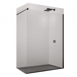 Paravan de dus SanSwiss, Easy, 90 x 200 cm, profil negru mat