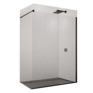 Paravan de dus SanSwiss, Easy, 100 x 200 cm, profil negru mat