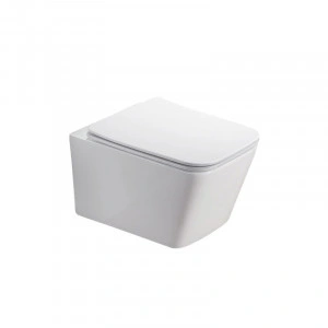 Set vas WC suspendat, Fluminia, Paris, rimless, cu capac quick release si soft close, alb