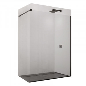 Paravan de dus SanSwiss, Easy, 120 x 200 cm, profil negru mat