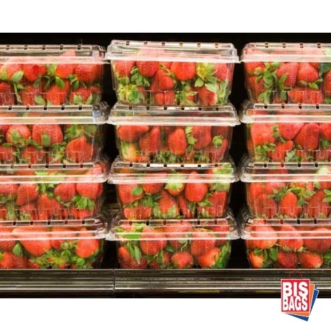 CASEROLE FRUCTE 1000 GR CAPAC ATASAT - 190lx117Lx125h mm- 480 buc.