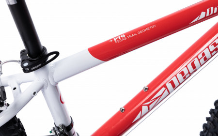 Bicicleta MTB Copii Pegas Mini Drumet 24&#039;&#039; Rosu Alb - Img 2