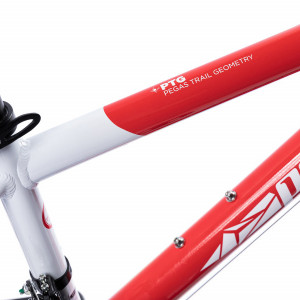 Bicicleta MTB Copii Pegas Mini Drumet 24'' Rosu Alb - Img 2
