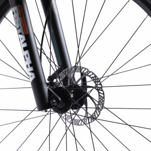 Bicicleta MTB Pegas Drumet Dinamic E-Bike L, Gri Mat - Img 8