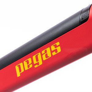 Bicicleta MTB Pegas Drumet Dinamic E-Bike M, Rosu Mat - Img 2
