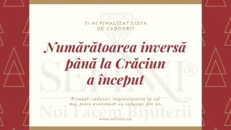 Sfaturi în căutarea cadoului perfect pentru SĂRBĂTORILE DE IARNĂ
