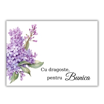 Set Cartoane Martisor - Bunica